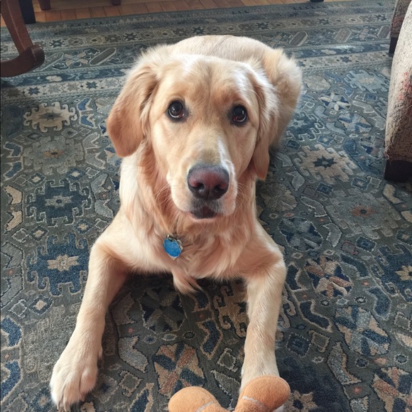 Meet your Posher, Sally - Picture 1 of 1